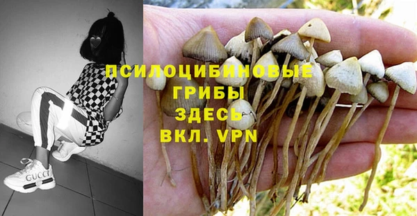 метадон Зеленокумск