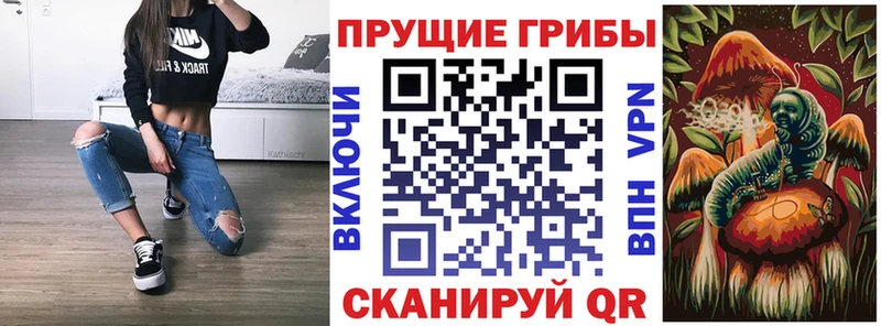 Купить закладки  Киренск  Псилоцибиновые грибы мухоморы 